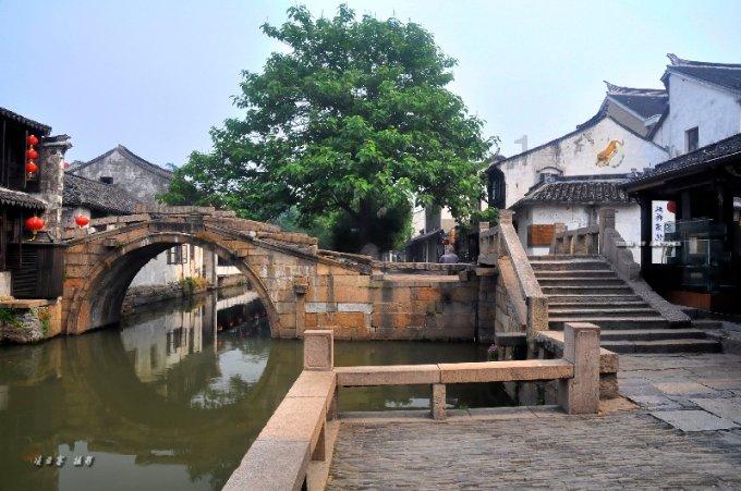 好消息!大连矮化密植大樱桃抢“鲜”上市